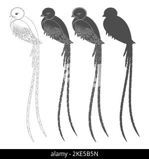 Ensemble d'illustrations en noir et blanc avec un oiseau quetzal. Objets vectoriels isolés sur fond blanc. Illustration de Vecteur