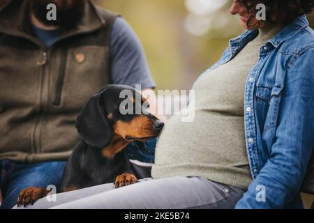 Humains avec Hound-Mongrel Banque D'Images