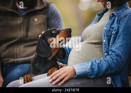 Humains avec Hound-Mongrel Banque D'Images