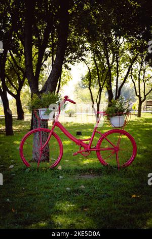 Lit de fleurs de vélo. Stand décoratif en forme de vélo vintage avec fleurs jaunes dans le parc d'automne en octobre. Mise au point sélective Banque D'Images