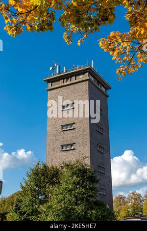 Deutschland, Stadtlohn, Westmuensterland, Muensterland, Westfalen, Nordrhein-Westfalen, NRW, Alter Wasserturm, Herbstfaerbung *** Légende locale *** Banque D'Images