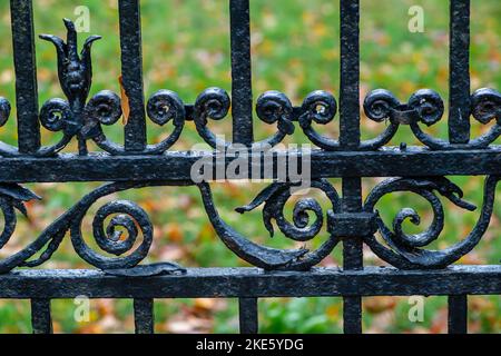 Iver, Buckinghamshire, Royaume-Uni. 10th novembre 2022. C'était une journée plus fraîche aujourd'hui dans le parc régional de Langley Park car les gens étaient dehors en appréciant la marche dans le parc et en regardant les couleurs automnales. Les mûres sont encore en croissance et les arbustes en rhododendron fleurissent malgré qu'il soit novembre. Crédit : Maureen McLean/Alay Live News Banque D'Images