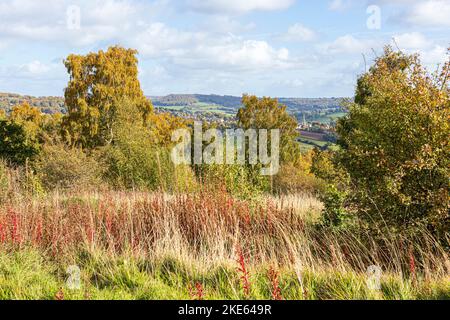 Un aperçu de Painswick de la piste nationale de Cotswold chemin longue distance en automne traversant Rudge Hill, Edge Common, Gloucestershire Royaume-Uni Banque D'Images