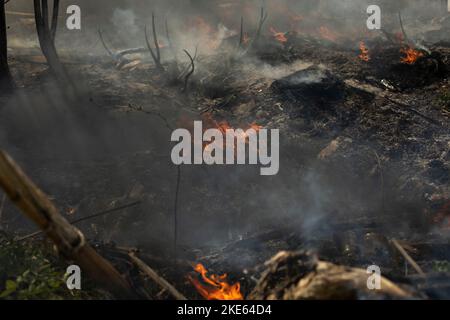 Combustion d'une décharge illégale. Fumée et feu. Feu dans la rue. Banque D'Images