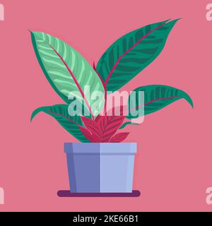 Illustration vectorielle d'une plante en pot Illustration de Vecteur