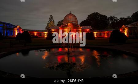 Londres, Royaume-Uni. 10 novembre 2022. Le Grand Conservatoire est illuminé à un aperçu de la forêt enchantée à Syon Park, dans l'ouest de Londres. Aujourd'hui dans ses 16th ans, l'événement présente des illuminations sur un sentier à travers des terrains paysagés par Capability Brown, passant par la Syon House de 16th siècles, la maison londonienne du Duc de Northumberland, et se termine au Grand Conservatoire. Le spectacle se déroulera du 11 au 27 novembre 2022. Credit: Stephen Chung / Alamy Live News Banque D'Images