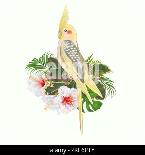 Cocatier jaune mignon oiseau tropical drôle perroquet et hibiscus blanc aquarelle style sur un fond blanc vintage illustration vectorielle modifiable main Illustration de Vecteur