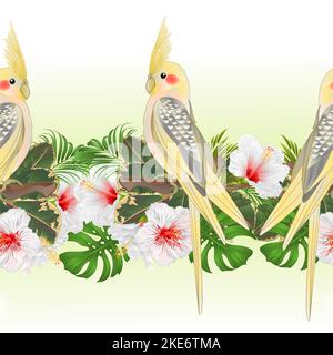 Bordure tropicale sans couture fond jaune cocatier mignon oiseau tropical drôle perroquet et blanc hibiscus aquarelle style vintage vecteur Illustration Illustration de Vecteur