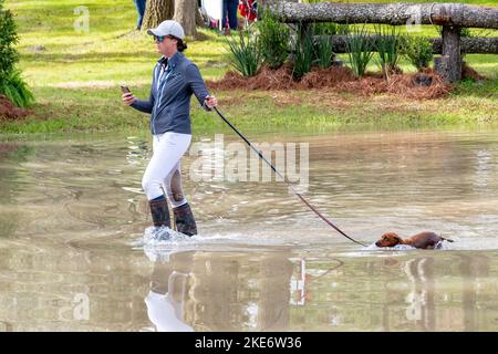 Essai de Red Hills Horse Banque D'Images