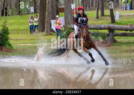 Essai de Red Hills Horse Banque D'Images