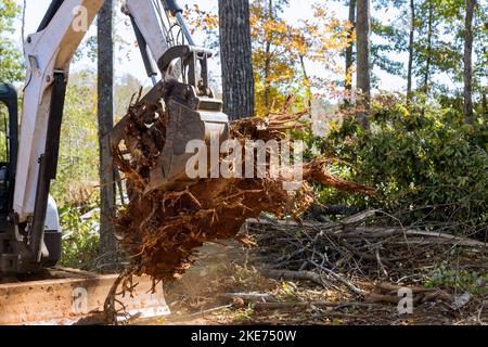 Au cours de l'aménagement paysager de terrains qui a été débarrassé des racines pour le développement de logements à usage spécifique, la subdivision a été défrichée par des chargeurs compacts rigides de tracteur. Banque D'Images