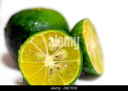 Calamansi - le plus petit agrumes des Philippines également connu sous le nom de citron vert ou citron philippin Banque D'Images