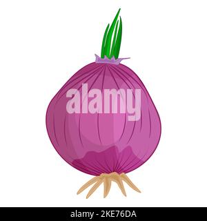 Oignon rouge.oignon entier bulbs.Organic légumes racines frais de ferme.ingrédient, condiment et épice utilisés dans les aliments, la salade ou le plat.Agriculture, récolte de jardin. Illustration de Vecteur