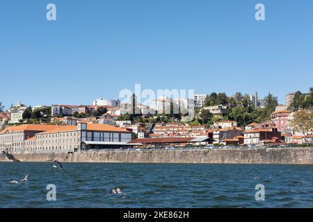 Ample perspective de la ville du fleuve Douro vers la rive nord avec des bâtiments en terrasses et des monuments dans une variété ou styles architecturaux Banque D'Images