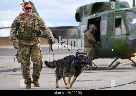 Base aérienne de Fairchild, Washington, États-Unis. 25th octobre 2022. Tech. Sgt. Crystal Maldonado, maître-chien de travail militaire de l'escadron 92nd des forces de sécurité, et son chien Leo reviennent de L'UH-1N Huey Training octobre. 25, 2022 à la base aérienne de Fairchild, Washington. Trois chiens de travail militaires ont été formés pour monter et monter correctement dans un hélicoptère afin d'assurer la sécurité dans les missions futures. (Photo par Airman 1st Class Morgan Dailey) Credit: US Air Force/ZUMA Press Wire Service/ZUMAPRESS.com/Alamy Live News Banque D'Images