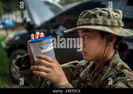 San Pedro Sula, Honduras. 3rd novembre 2022. SPC. Livia Barnett, de Newark, Ohio, attachée à la Force opérationnelle interarmées Bravo (foi-Bravo), examine les moustiques à San Pedro Sula, Honduras, dans le cadre de la promesse continue 22, novembre. 03, 2022. Continuing Promise 22, une mission d'assistance humanitaire et de bonne volonté qui mène des soins médicaux directs, des soins vétérinaires expéditionnaires et des échanges d'experts en la matière avec cinq pays partenaires des Caraïbes, d'Amérique centrale et d'Amérique du Sud. (Photo par le Spécialiste de la communication de masse 3rd classe Sophia Simons) (image de crédit : © U.S. Army/ZUMA Press Wire Service/ZUMAPRESS Banque D'Images