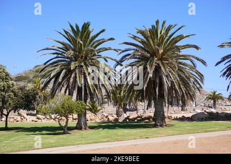 Point Vincente Beach Walk à Rancho Palos Verdes, Californie, États-Unis Banque D'Images