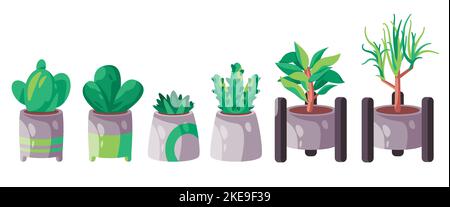 Plante indor en pot groupe de jardinage vert ensemble de plantes diverses Illustration de Vecteur