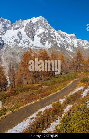 Vue sur les grandes Jorasses et le massif du Mont blanc depuis le sentier jusqu'au refuge de Bertone dans la vallée du Ferret en automne. Vallée du Ferret, Courmayeur, quartier d'Aoste, Banque D'Images