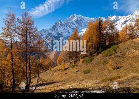Vue sur le massif du Mont blanc depuis le chemin jusqu'à la réserve bertone en automne. Vallée du Ferret, Courmayeur, quartier d'Aoste, Vallée d'Aoste, Italie, Europe. Banque D'Images
