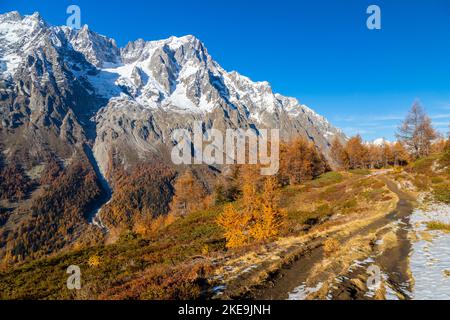 Vue sur les grandes Jorasses et le massif du Mont blanc depuis le sentier jusqu'au refuge de Bertone dans la vallée du Ferret en automne. Vallée du Ferret, Courmayeur, quartier d'Aoste, Banque D'Images