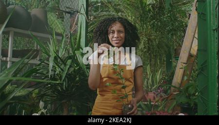 Portrait d'un jardinier horticulteur afro-américain tenant une plante à l'intérieur de la serre portant un tablier intérieur Banque D'Images