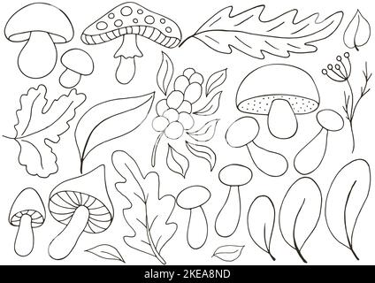 Automne. Ensemble d'illustrations vectorielles dessinées à la main. Affiche monochrome avec feuilles d'automne et champignons. Collection d'icônes, d'autocollants Illustration de Vecteur