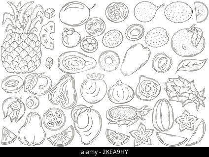Grand jeu d'illustrations vectorielles dessinées à la main. Affiche colorante avec fruits tropicaux. Collection d'icônes, de badges, d'autocollants. Fruits exotiques Illustration de Vecteur