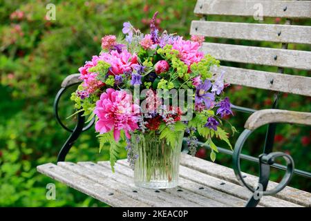 Betrieb einer Bühren in Rot, pink und violett Farbtönen mit Pfingstrosen und Akeleien, steht in Glas-Vase auf dekorativen Holz-Gartenbank Banque D'Images