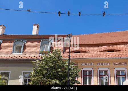 Les yeux célèbres de Sibiu (Ochii Sibiului) sont des dormeurs iconiques sur les toits des maisons de Sibiu, ils sont symbole et attraction touristique. Ils ont donné la ville Banque D'Images