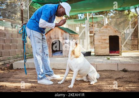 Dressage de chiens d'animaux, entraîneur d'animaux et homme enseignant le respect de chien, à l'écoute de maître et de propriétaire obéissance avec la commande de assis. Employé d'abri pour animaux, animal de compagnie Banque D'Images