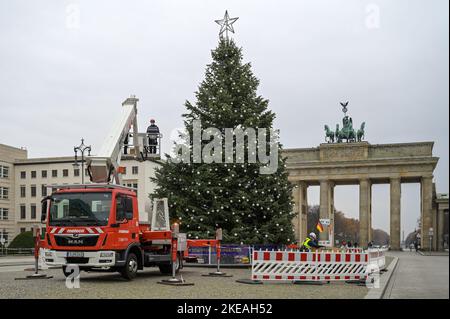 Weihnachtsbaum auf dem Pariser Platz à Berlin vor dem Brandenburger Tor Banque D'Images