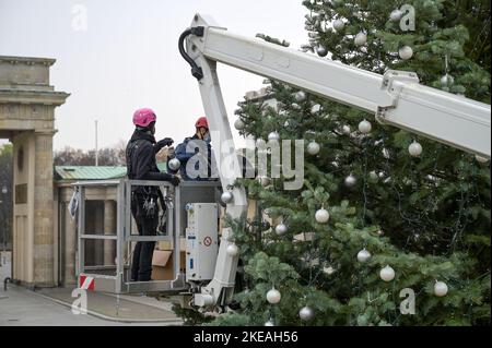 Weihnachtsbaum auf dem Pariser Platz à Berlin vor dem Brandenburger Tor Banque D'Images