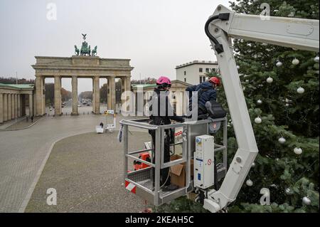 Weihnachtsbaum auf dem Pariser Platz à Berlin vor dem Brandenburger Tor Banque D'Images