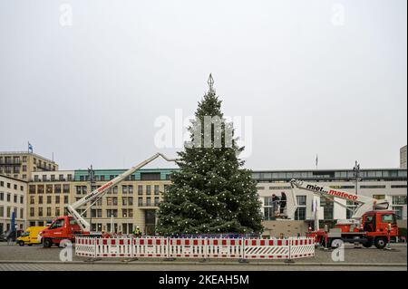 Weihnachtsbaum auf dem Pariser Platz à Berlin vor dem Brandenburger Tor Banque D'Images