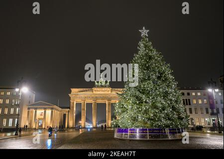 Weihnachtsbaum auf dem Pariser Platz à Berlin vor dem Brandenburger Tor Banque D'Images