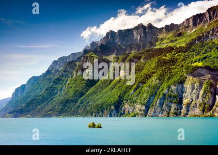 Vue sur le lac Walen avec la petite île et les massifs Schaeren et Leistchamm en arrière-plan, Suisse, Saint-Gall Banque D'Images