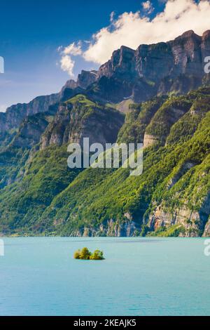 Vue sur le lac Walen avec la petite île et les massifs Schaeren et Leistchamm en arrière-plan, Suisse, Saint-Gall Banque D'Images