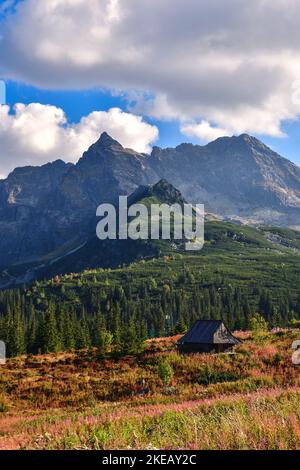 Magnifique paysage de montagne d'été. La célèbre vallée polonaise de Gasienicowa dans les montagnes de Tatra. Banque D'Images