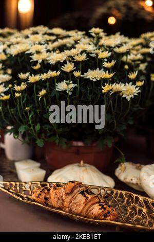 Composition d'automne chrysanthèmes blancs dans une casserole, citrouilles et croissants Banque D'Images