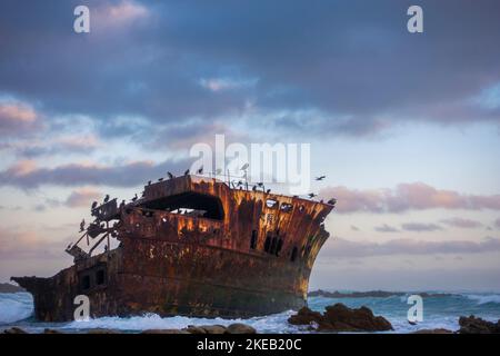 Sous un ciel nuageux se trouve l'épave du Meisho Maru n° 38 sur la belle côte du Cap Agulhas près de la ville balnéaire de l'Agulhas dans l'Ove Banque D'Images