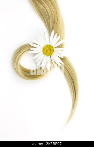 Serrure de cheveux ondulés blonds avec fleur de camomille sur fond blanc, vue du dessus. Morceau de cheveux blond sur fond blanc Banque D'Images