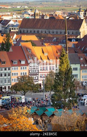 Erfurt, Allemagne. 11th novembre 2022. Avec l'aide d'une grue, une épinette de 24 mètres de haut est érigée pour le marché de Noël d'Erfurt. L'épicéa commun d'environ 80 ans d'une zone forestière près de Gehren va devenir la pièce maîtresse brillante du marché de Noël d'Erfurt en 172nd. Credit: Michael Reichel/dpa/Alay Live News Banque D'Images