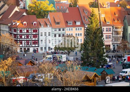 Erfurt, Allemagne. 11th novembre 2022. Avec l'aide d'une grue, une épinette de 24 mètres de haut est érigée pour le marché de Noël d'Erfurt. L'épicéa commun d'environ 80 ans d'une zone forestière près de Gehren va devenir la pièce maîtresse brillante du marché de Noël d'Erfurt en 172nd. Credit: Michael Reichel/dpa/Alay Live News Banque D'Images