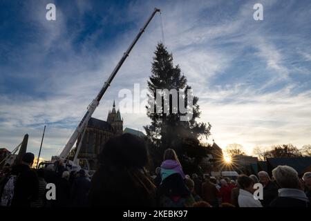 Erfurt, Allemagne. 11th novembre 2022. Avec l'aide d'une grue, une épinette de 24 mètres de haut est érigée pour le marché de Noël d'Erfurt. L'épicéa commun d'environ 80 ans d'une zone forestière près de Gehren va devenir la pièce maîtresse brillante du marché de Noël d'Erfurt en 172nd. Credit: Michael Reichel/dpa/Alay Live News Banque D'Images