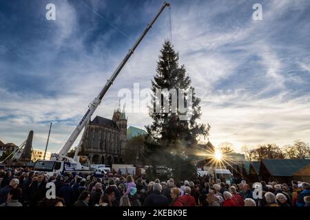 Erfurt, Allemagne. 11th novembre 2022. Avec l'aide d'une grue, une épinette de 24 mètres de haut est érigée pour le marché de Noël d'Erfurt. L'épicéa commun d'environ 80 ans d'une zone forestière près de Gehren va devenir la pièce maîtresse brillante du marché de Noël d'Erfurt en 172nd. Credit: Michael Reichel/dpa/Alay Live News Banque D'Images