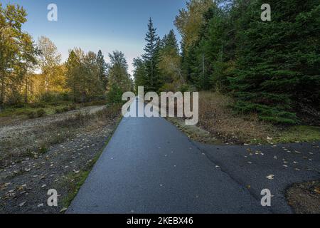 Gray's Meadow Wayside Bicycle Trail dans l'Idaho Banque D'Images