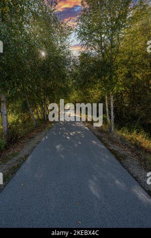 Cottonwood Wayside Bicycle Trail dans l'Idaho Banque D'Images