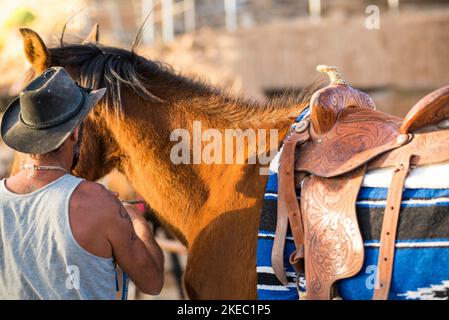 un adulte prenant soin ou préparant un cheval à courir seul dans un ranch - un cheval en bonne santé et en forme Banque D'Images