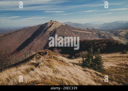 Bieszczady montagne en Pologne. Vue d'automne sur Polonina Wetlinska et Polonina Carynska Banque D'Images